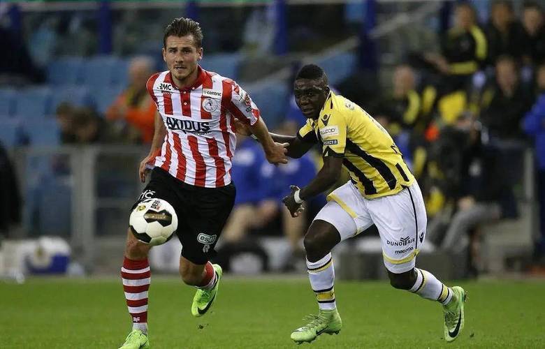 仅为羽毛球 仅为羽毛球